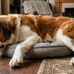 When Growth Is a Tax Problem